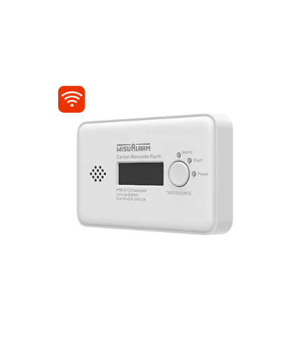 Carbon Monoxide CO Digital Alarm**Must have for landlords-Wisualarm