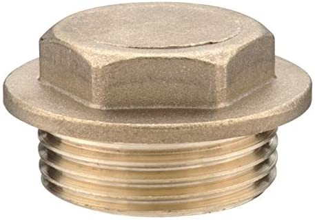 1" Brass Flanged Plug