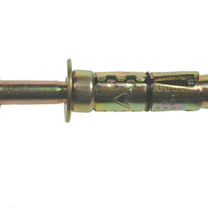 Shield Anchors Loose Bolt M10 x 110**