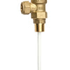 Temperature And Pressure Relief Valves Range R 1/2